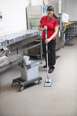 Vileda Professional wkład do mopa Ultraspeed